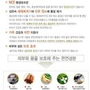 천연(에코)환경 이미지