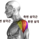 메타짐 신흥점 이미지