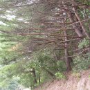 고산목장 이미지