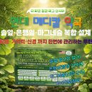 솔잎약국 이미지