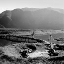 수원-1958 이미지