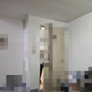 딱따구리문구점 | 직장인 일기 240205~240212 내 운명은 사무실 지키는 일