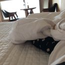 메종다원 이미지