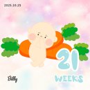 하임아이엔지 | [임신일기 #8] 임신 21주차 ~ 24주차 정밀초음파 시기 자궁경부길이 입체초음파 아기방꾸미기
