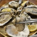 사피엔스 | 거제 옥포 맛집 굴 코스요리 화덕구이 굴그라탕 '사피엔스' 거제옥포본점 후기