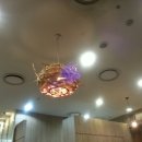 퓨전일식미미우 이미지