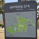 이디야커피보라매공원점 이미지