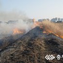 서천소방서-67 이미지