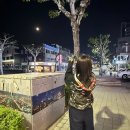 우암약국 네이버블로그