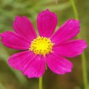 호성한의원 이미지