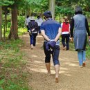 정남진 편백숲 우드랜드 프레시안