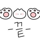 개스트펫살롱 이미지