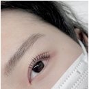 브로우스 안산점 눈썹 속눈썹펌 이미지