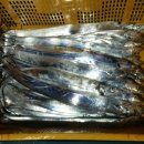 월항민박 이미지