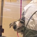 견생묭실 이미지