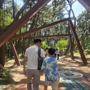 암남공원로 | 부산 송도해상케이블카 후기, 에어크루즈 추천 + 암남공원 산책코스