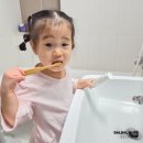 개정어린이집 | 어린이집준비물 미세플라스틱 걱정 없는 아기 칫솔 닥터노아 유아 치약