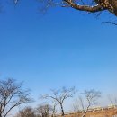 서우자동차공업사 이미지