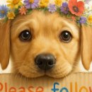 실전처럼 배우는 생활영어 이미지