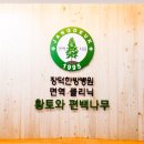 황토와편백나무