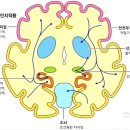 위례별초등학교 이미지