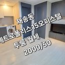 재송약국 이미지