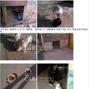 동물사랑실천협회-연평도 구출활동 후기 1편 2010년 12월 4일