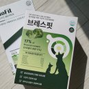 10살 강아지켁켁거림 기관지 관리 - 강아지기관지협착증 바이오핏 브레스핏 급여 후기