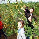 김종열농장 이미지