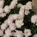 울산영락원 이미지