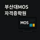 실무 활용 엑셀(초급) | 부산대MOS자격증학원 추천｜단기간에 끝내는 실무 자격증 취득