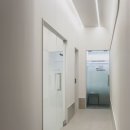 분당 피엘 동물피부클리닉 | ː완공사진ː분당피엘 동물피부 클리닉 인테리어