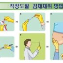 장티푸스 증상 (보건증 발급 검사) 이미지