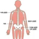 청담탑정형외과의원 네이버블로그