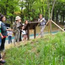 가좌이음숲 이미지