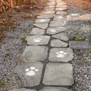 한동리브로콜리 | 아기와 제주도 아기와 제주여행 숙소 한동리 브로콜리 후기