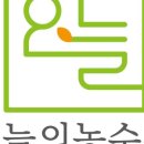 주식회사 오늘도 이미지