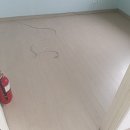 마루인터내셔날 이미지