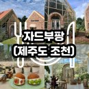 [제주도 동쪽]조천 카페 자드부팡 후기 / 주차