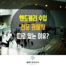 핸드캐리 수입계의 김앤장이라고요? 과찬이 너무 심한데요 ㅎㅎ