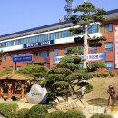 양구군치매안심센터 이미지