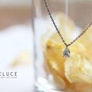 르헤브(Le reve)