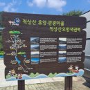 오방색권역 네이버블로그