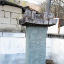 앵무세상 - 121749 | 앵무세상