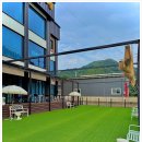 루이비독 이미지