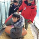 채움 관광농원 이미지