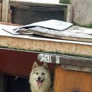 희망농장2 이미지