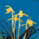 여가2 민박 이미지