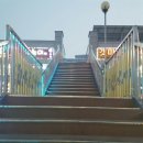 마돈나회수산
