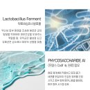 해양페어링